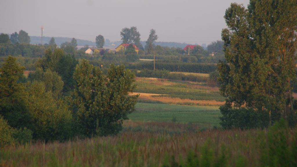 לינה וארוחת בוקר Przybysławice Dwor Na Wichrowym Wzgorzu מראה חיצוני תמונה